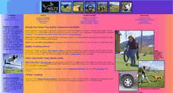 Desktop Screenshot of agilitedogs.com